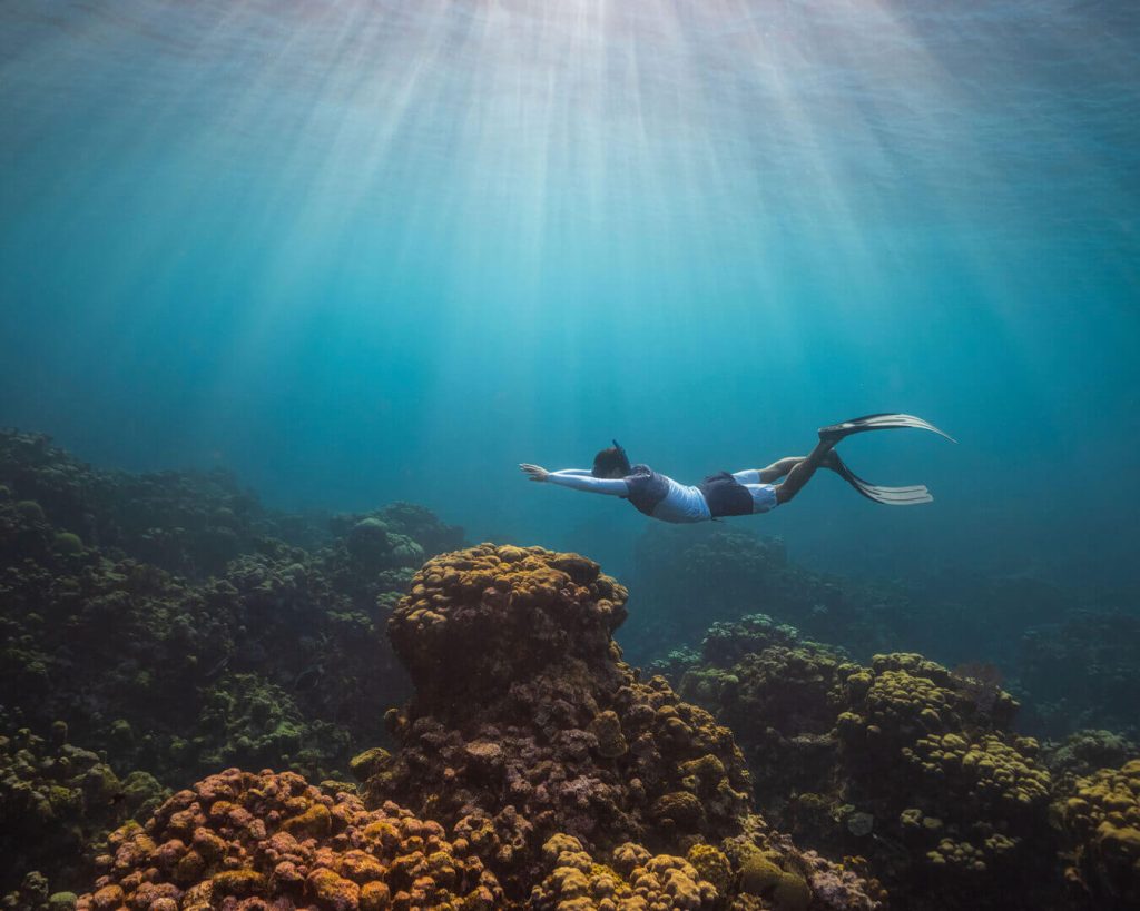 Custom Rash Guards & Rash Vests, SPF protection & Eco Friendly