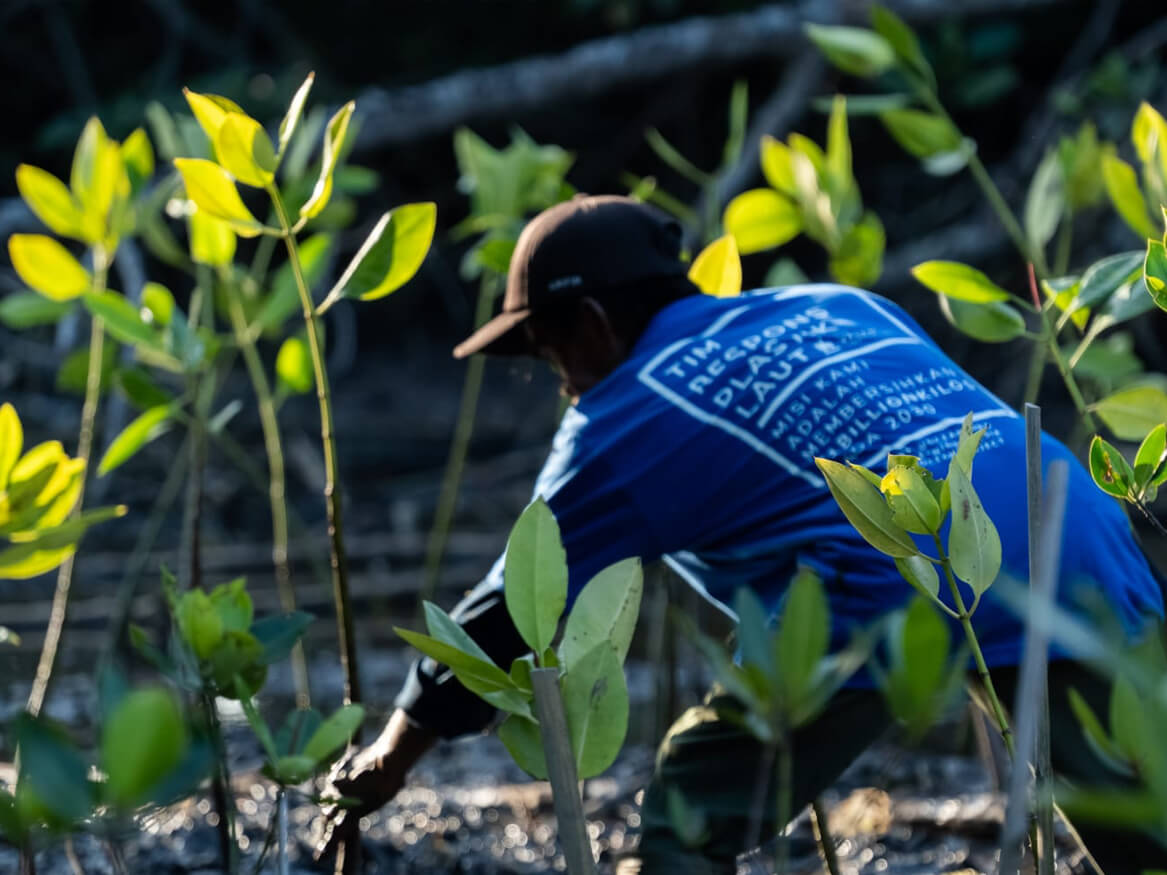 OCEANR Mangroves Planting UOCEAN 4